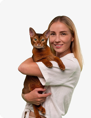 pet groomer 3 1.png