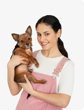 pet groomer 8.png